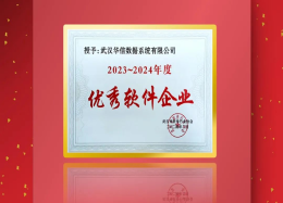 DB真人旗舰 DB数据荣膺武汉市软件行业协会2023~2024年度优秀软件企业称号