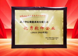 喜讯丨DB真人旗舰 DB数据获评2024~2025年度武汉市软件行业&ldquo;优秀企业&rdquo;、&ldquo;优秀工作者&rdquo;荣誉称号！